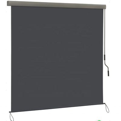 Sun and Privacy Protection Extendable Outdoor Roller Blind with Hand Crank Mechanism